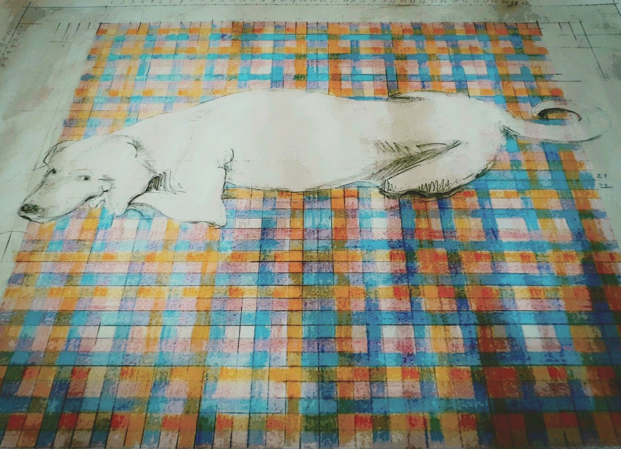 Concept sketch of a white dog lying on a colorful tartan floor pattern. Konseptskisse av en hvit hund som ligger på et fargerikt rutegulv.